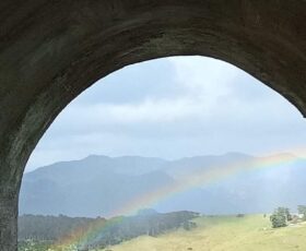 WhatsApp Image 2025-09-10 at 4.36.06 PM